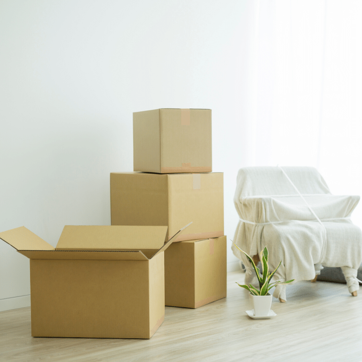 vaciado de pisos ávila